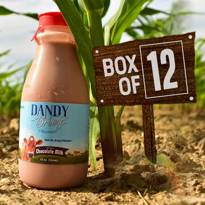Box of 12 - Chocolate Whole Milk