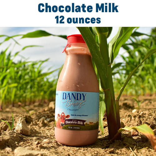 Chocolate Whole Milk