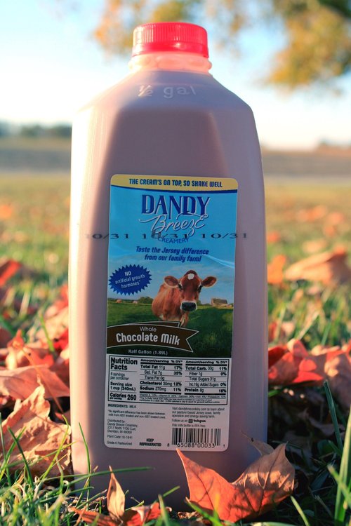 Chocolate Whole Milk